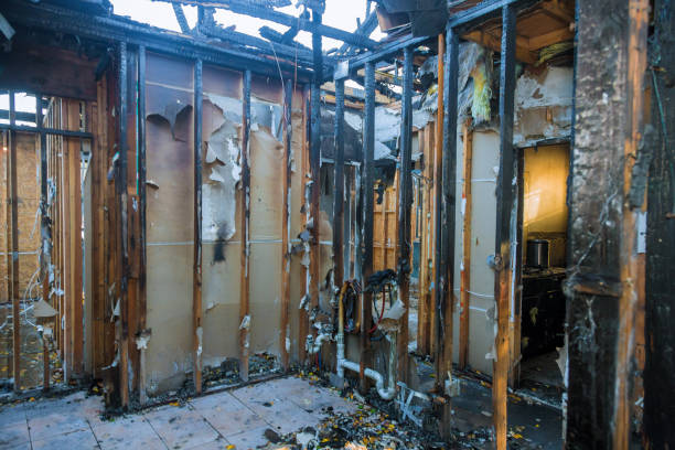 Professional Fire Damage Removal technician working in Nice, CA
